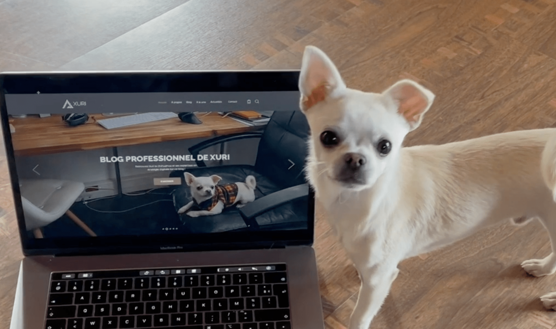 PIC DIGITAL crée le pôle « DOG DIGITAL » dédié aux canins