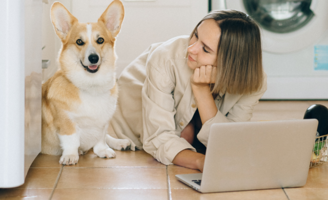 Cette image représente une femme et son chien avec un ordinateur portable afin d'illustrer l'article de Pic Digital qui parle de comment fidéliser votre client e-commerce facilement. 